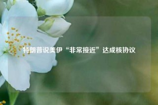 特朗普说美伊“非常接近”达成核协议