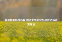 瀚川智能信披违规 遭遇业绩恶化与高管动荡双重考验
