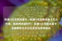 联通19元无限流量卡，联通19元无限流量卡怎么办理，畅享网络新时代，联通19元无限流量卡全面解析亿乐社区低价自营货源站