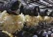 特写｜银耳种植“北移”到沧州盐山，村民入伙可年增收4万元