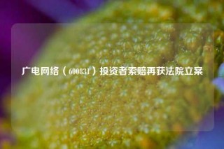 广电网络（600831）投资者索赔再获法院立案