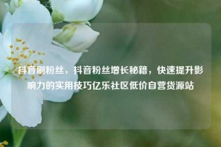 抖音刷粉丝，抖音粉丝增长秘籍，快速提升影响力的实用技巧亿乐社区低价自营货源站