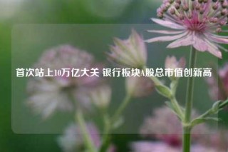 首次站上10万亿大关 银行板块A股总市值创新高