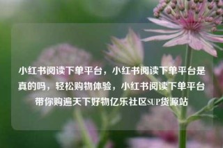 小红书阅读下单平台，小红书阅读下单平台是真的吗，轻松购物体验，小红书阅读下单平台带你购遍天下好物亿乐社区SUP货源站