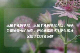流量卡免费领取，流量卡免费领取入口，解锁免费流量卡的秘密，轻松畅享网络生活亿乐社区低价自营货源站
