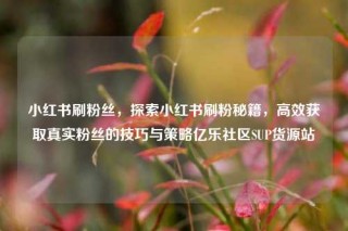 小红书刷粉丝，探索小红书刷粉秘籍，高效获取真实粉丝的技巧与策略亿乐社区SUP货源站