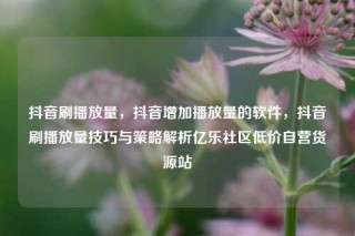 抖音刷播放量，抖音增加播放量的软件，抖音刷播放量技巧与策略解析亿乐社区低价自营货源站