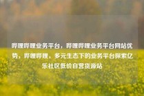 哔哩哔哩业务平台，哔哩哔哩业务平台网站优势，哔哩哔哩，多元生态下的业务平台探索亿乐社区低价自营货源站