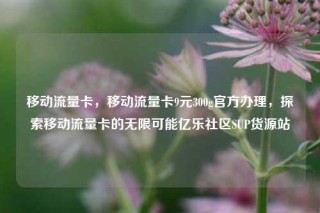 移动流量卡，移动流量卡9元300g官方办理，探索移动流量卡的无限可能亿乐社区SUP货源站