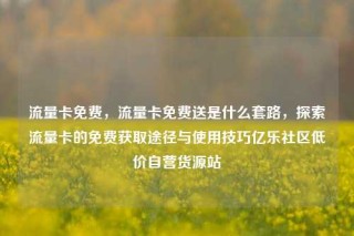 流量卡免费，流量卡免费送是什么套路，探索流量卡的免费获取途径与使用技巧亿乐社区低价自营货源站