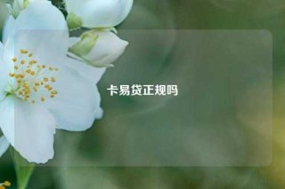 卡易贷正规吗