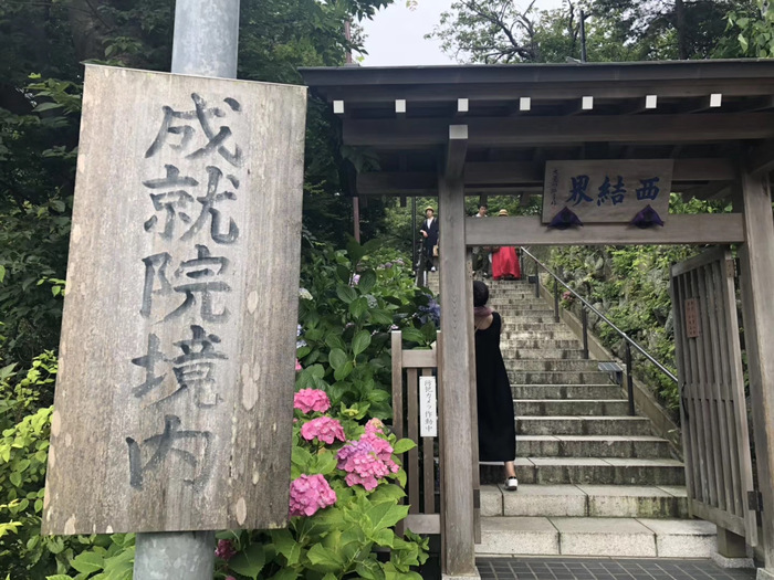 花开之处，便是故地  第32张