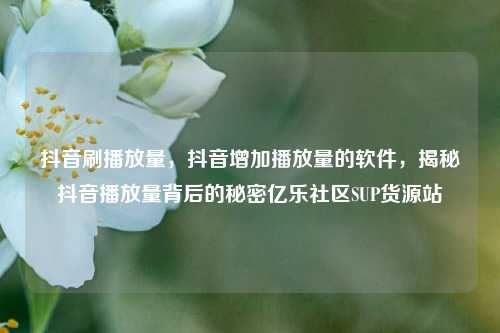 抖音刷播放量，抖音增加播放量的软件，揭秘抖音播放量背后的秘密亿乐社区SUP货源站  第1张