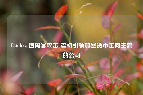 Coinbase遭黑客攻击 震动引领加密货币走向主流的公司  第1张