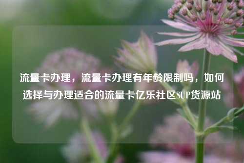流量卡办理，流量卡办理有年龄限制吗	，如何选择与办理适合的流量卡亿乐社区SUP货源站  第1张