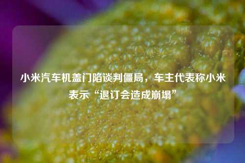 小米汽车机盖门陷谈判僵局，车主代表称小米表示“退订会造成崩塌”  第1张