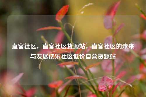 直客社区，直客社区货源站	，直客社区的未来与发展亿乐社区低价自营货源站  第1张