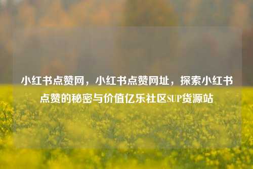 小红书点赞网，小红书点赞网址	，探索小红书点赞的秘密与价值亿乐社区SUP货源站  第1张