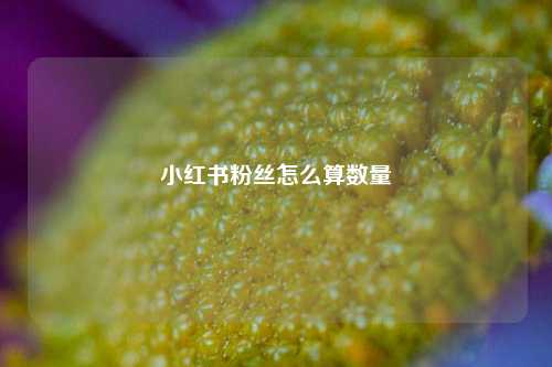 小红书粉丝怎么算数量  第1张