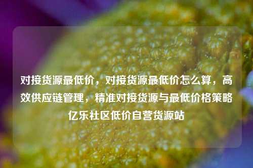 对接货源最低价，对接货源最低价怎么算，高效供应链管理	，精准对接货源与最低价格策略亿乐社区低价自营货源站  第1张