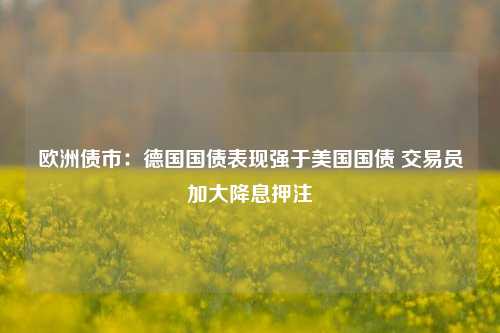 欧洲债市：德国国债表现强于美国国债 交易员加大降息押注  第1张