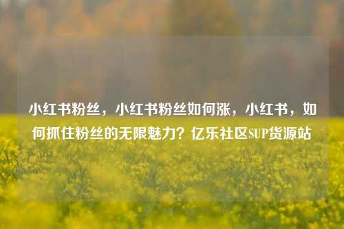 小红书粉丝，小红书粉丝如何涨，小红书，如何抓住粉丝的无限魅力？亿乐社区SUP货源站  第1张