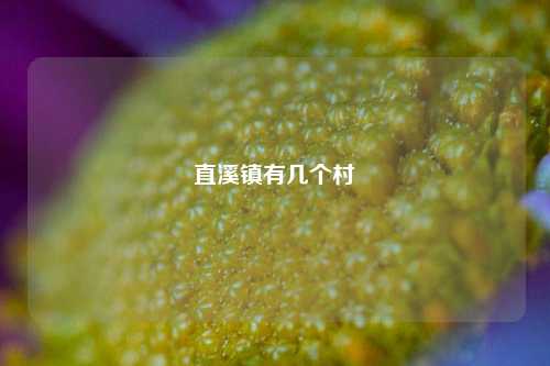 直溪镇有几个村  第1张