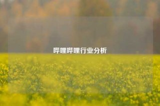 哔哩哔哩行业分析