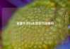 流量卡可以去营业厅注销吗