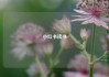 小红书读书