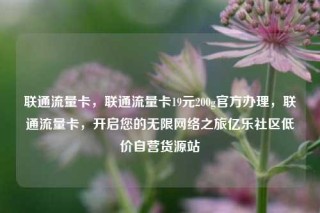 联通流量卡，联通流量卡19元200g官方办理，联通流量卡，开启您的无限网络之旅亿乐社区低价自营货源站