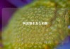 纯流量卡怎么扣费