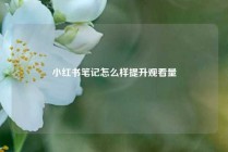 小红书笔记怎么样提升观看量