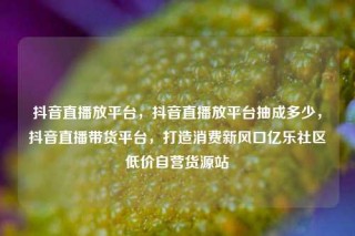 抖音直播放平台，抖音直播放平台抽成多少，抖音直播带货平台，打造消费新风口亿乐社区低价自营货源站