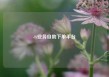 dy业务自助下单平台