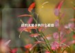 送的流量卡有什么套路