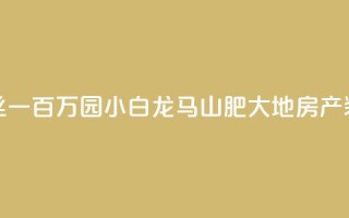 快手粉丝一百万0.01园小白龙马山肥大地房产装修网站,自助下单在线云商城 - 抖音4万火力是多少钱 - 一块钱1万播放量