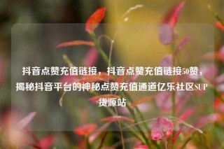 抖音点赞充值链接，抖音点赞充值链接50赞，揭秘抖音平台的神秘点赞充值通道亿乐社区SUP货源站