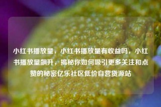 小红书播放量，小红书播放量有收益吗，小红书播放量飙升，揭秘你如何吸引更多关注和点赞的秘密亿乐社区低价自营货源站
