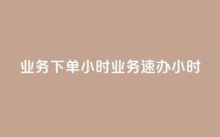 dy业务下单24小时 → dy业务速办24小时