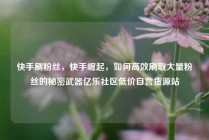 快手刷粉丝，快手崛起，如何高效刷取大量粉丝的秘密武器亿乐社区低价自营货源站