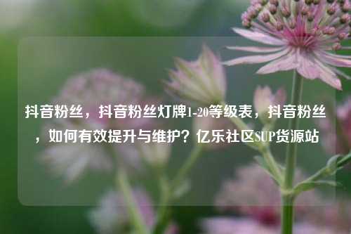 抖音粉丝，抖音粉丝灯牌1-20等级表，抖音粉丝，如何有效提升与维护？亿乐社区SUP货源站  第1张
