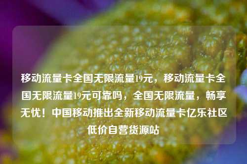 移动流量卡全国无限流量19元，移动流量卡全国无限流量19元可靠吗，全国无限流量	，畅享无忧！中国移动推出全新移动流量卡亿乐社区低价自营货源站  第1张