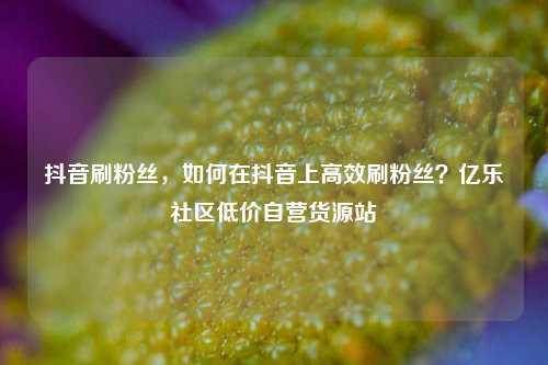 抖音刷粉丝，如何在抖音上高效刷粉丝？亿乐社区低价自营货源站  第1张