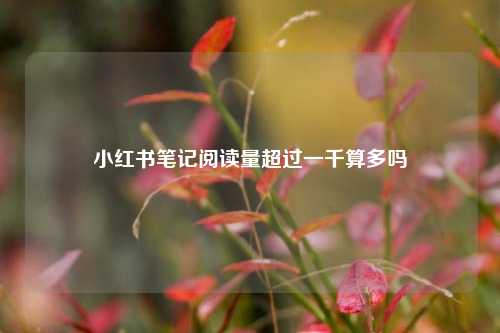 小红书笔记阅读量超过一千算多吗  第1张