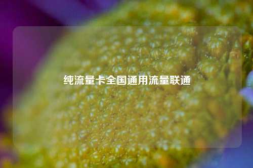 纯流量卡全国通用流量联通  第1张