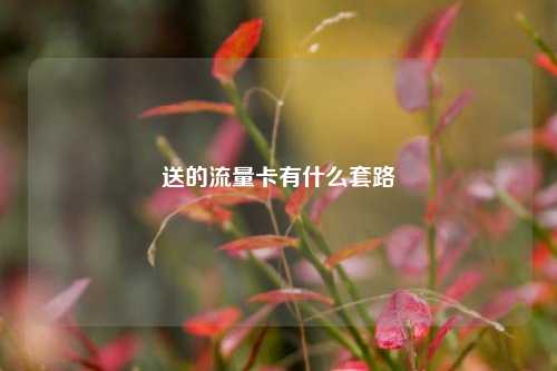 送的流量卡有什么套路  第1张