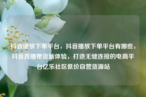 抖音播放下单平台	，抖音播放下单平台有哪些，抖音直播带货新体验，打造无缝连接的电商平台亿乐社区低价自营货源站  第1张