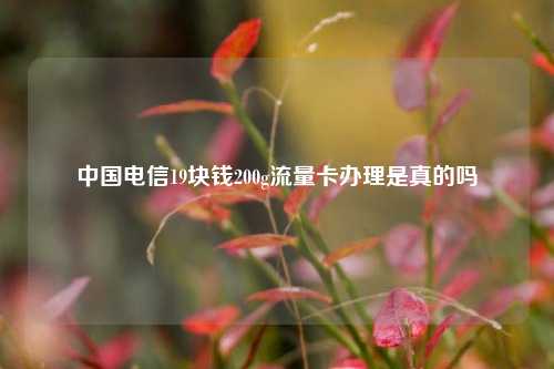 中国电信19块钱200g流量卡办理是真的吗  第1张