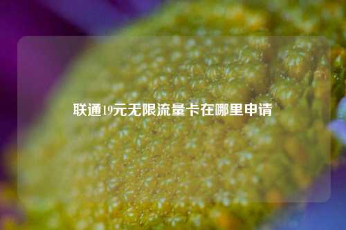 联通19元无限流量卡在哪里申请  第1张